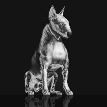 CD Riskee And The Ridicule: Platinum Statue