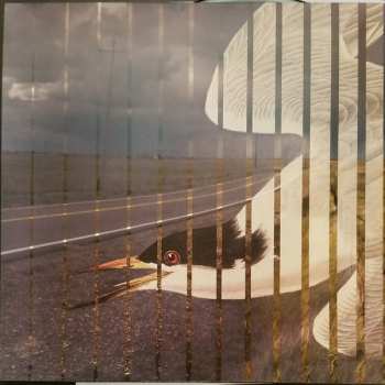 2LP Pat Metheny: Road To The Sun 