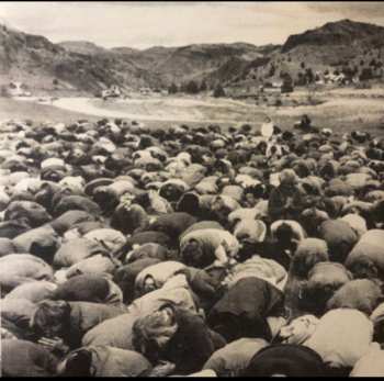 LP Robert: Orange Is The New Black LTD | NUM | PIC