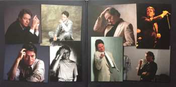 2LP Robert Palmer: Collected