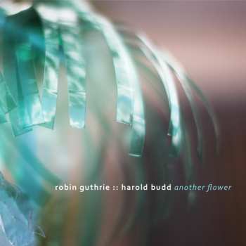 Album Harold Budd: Another Flower