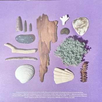 LP Robin Saville: Lore