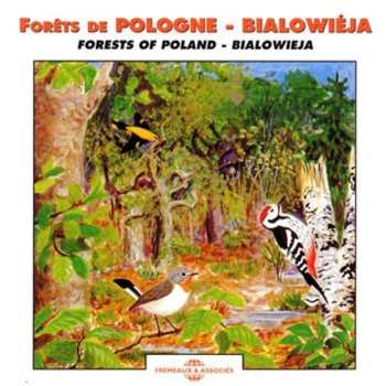 Album Roche / Gaultier / Sounds Of Nature: Forests Of Poland: Bialowieja