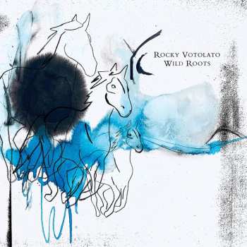 CD Rocky Votolato: Wild Roots