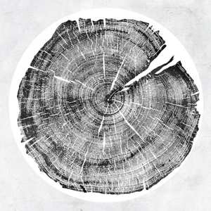 2LP Roy Montgomery: M: Darkmotif Dancehall