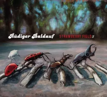 Rüdiger Baldauf: Strawberry Fields