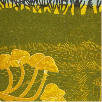 Rural Tapes: Rural Tapes