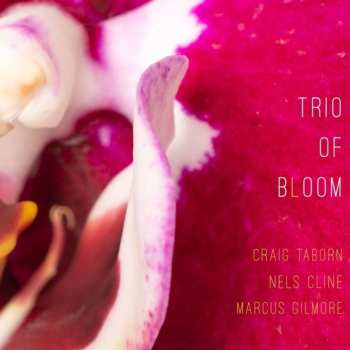 Album Russ Freeman: Trio