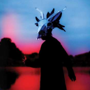 Album Ruth Goller: Skyllumina