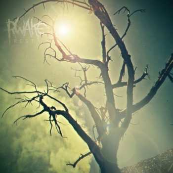 CD Rwake: Rest
