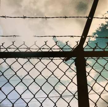 LP Ryan Adams: Prisoner