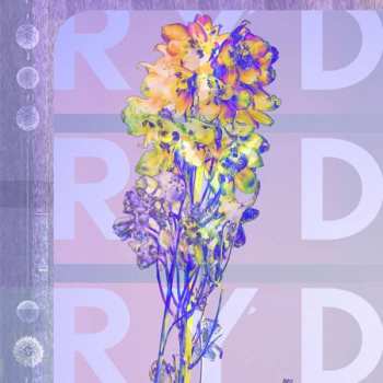 CD RYD: RYD
