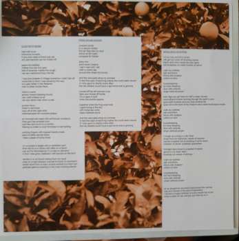 LP Ryley Walker: Course In Fable