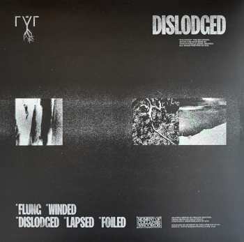 LP rýr: Dislodged CLR | LTD