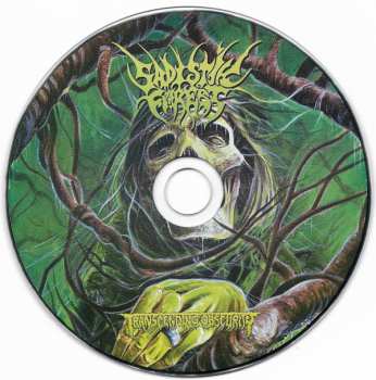 CD Sadistik Forest: Obscure Old Remains