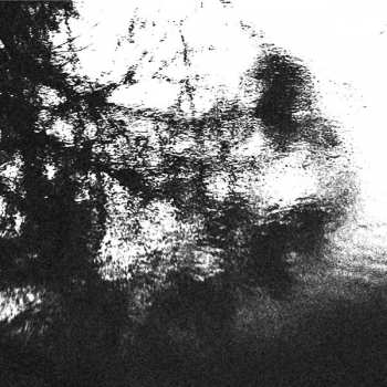 Album Sadness: Alluring The Distant Eye