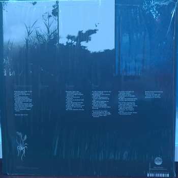 LP Sadness: Alluring The Distant Eye