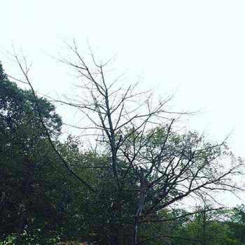 Album Sadness: Rain