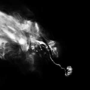 2LP Saffronkeira: A New Life Pt. II - New Life  LTD | CLR