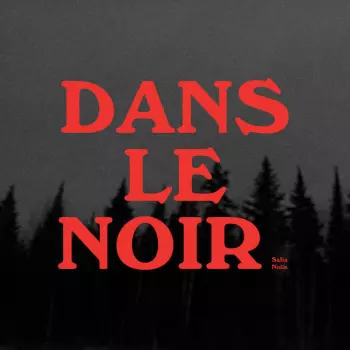 Safia Nolin: Dans Le Noir
