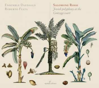 Album Ensemble Daedalus: The Two Souls Of Solomon