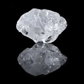 CD Saltland: A Common Truth