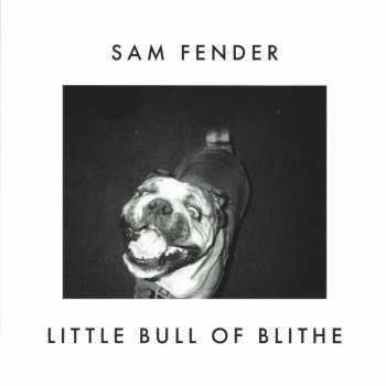 SP Sam Fender: Wild Grey Ocean / Little Bull Of Blithe LTD | CLR