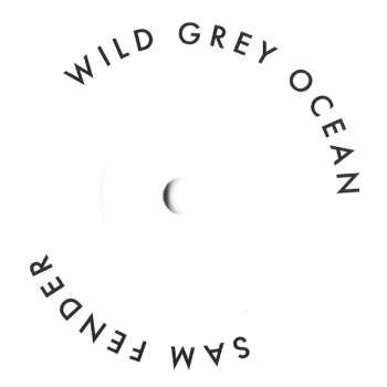 SP Sam Fender: Wild Grey Ocean / Little Bull Of Blithe LTD | CLR