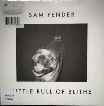 SP Sam Fender: Wild Grey Ocean / Little Bull Of Blithe LTD | CLR
