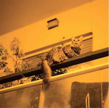 CD Sam Prekop: The Republic