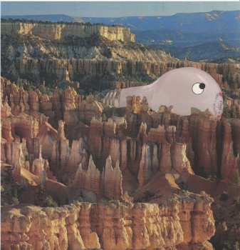 2LP Sana Shenai: Warm Former LTD