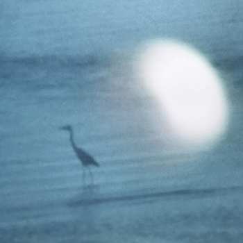 LP Sandro Perri: Soft Landing