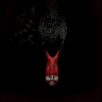 CD Sankt Otten: Männerfreundschaften Und Metaphysik