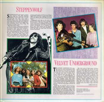 2LP Steppenwolf: The History Of Rock (Volume Fifteen)