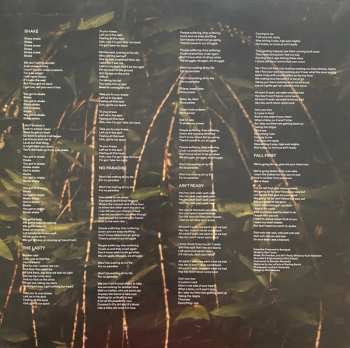 LP Santigold: Spirituals LTD | PIC