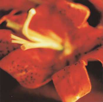 CD Sarah Brightman: Eden