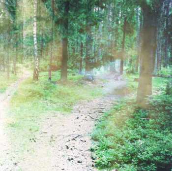 CD Satellite Stories: Pine Trails