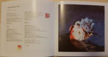 CD SCANDAL: Kiss From The Darkness