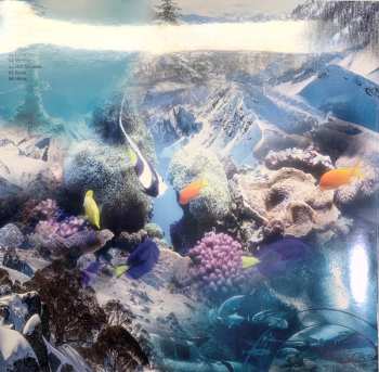 LP Schntzl: Holiday LTD