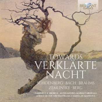 Album Johann Sebastian Bach: Towards Verklärte Nacht