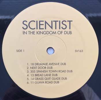 LP Scientist: In The Kingdom Of Dub