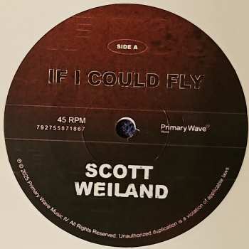 SP Scott Weiland: If I Could Fly CLR