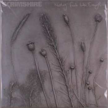 Album Scrimshire: Nothing Feels Like Everything