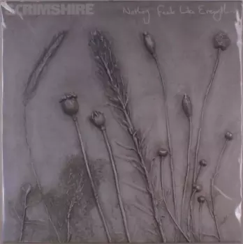 Scrimshire: Nothing Feels Like Everything