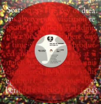 5LP/Dobozkészlet Section 25: Always Now DLX | LTD | CLR