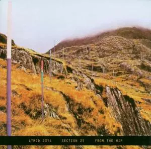 Section 25: From The Hip