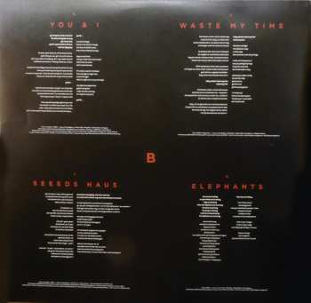 2LP Seeed: Seeed