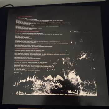 LP SeeYouSpaceCowboy: The Correlation Between Entrance And Exit Wounds LTD | CLR