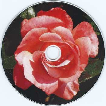 CD Sehnsucht: Wüste
