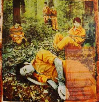 LP Senses Fail: Let It Enfold You LTD | CLR